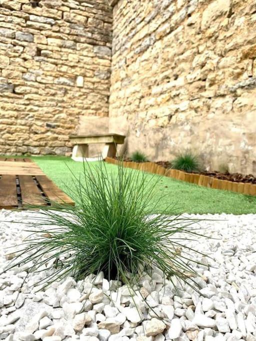 L'Eden, Apt 4 Prs Avec Jardin En Centre Ville Dijon Exterior photo